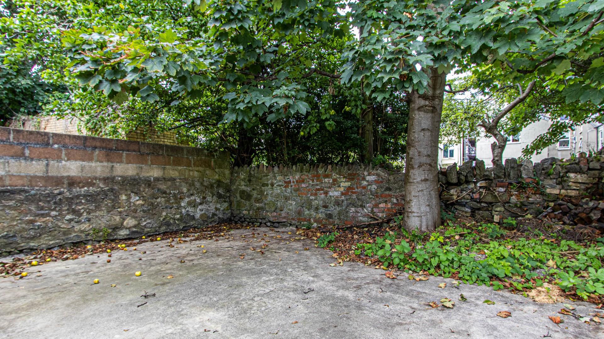 Gordon Road, Cathays — photograph 8